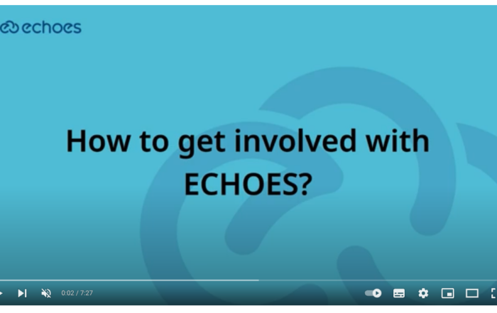 Screen shot of ECHOES video "How to get involved"